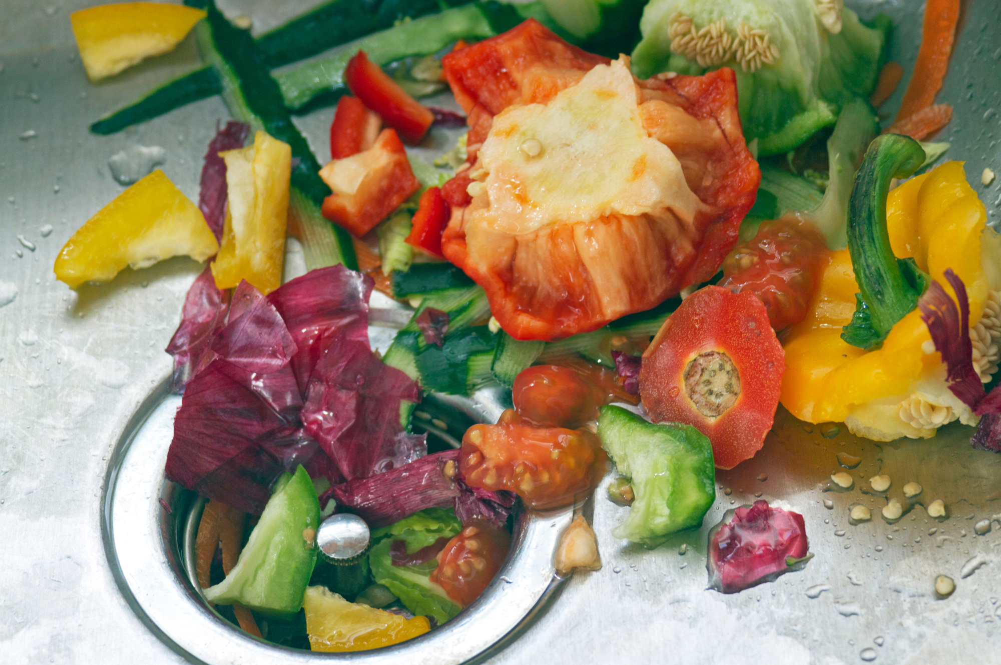 Food Waste
