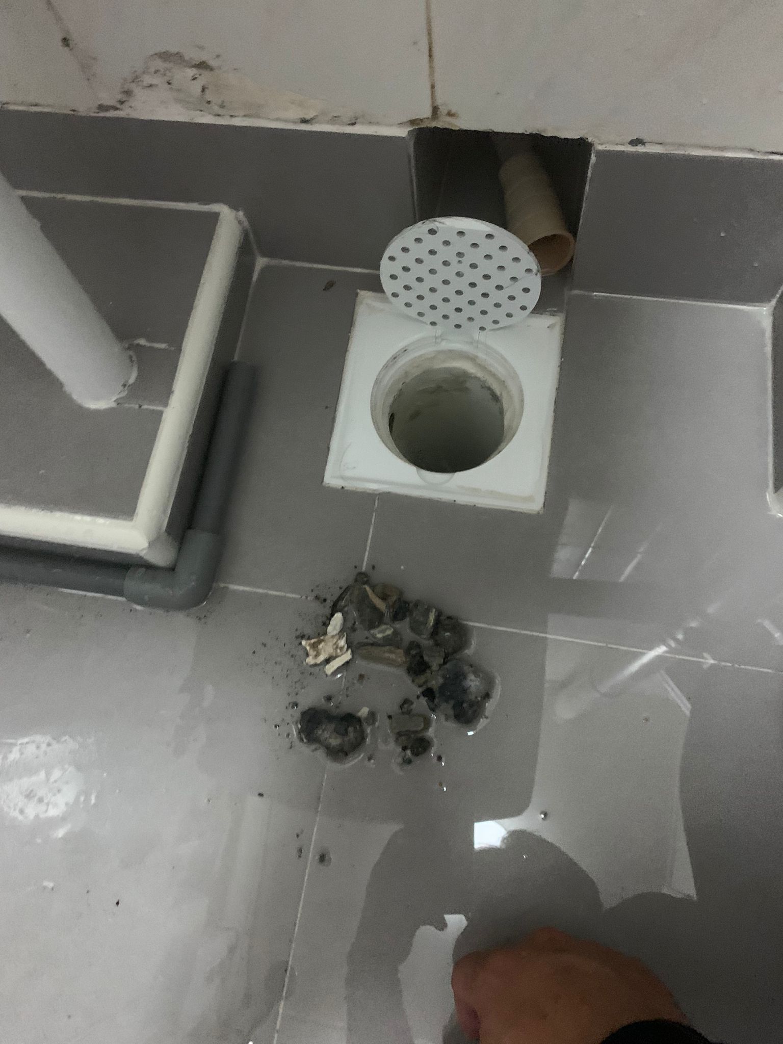 bathroom blockage
