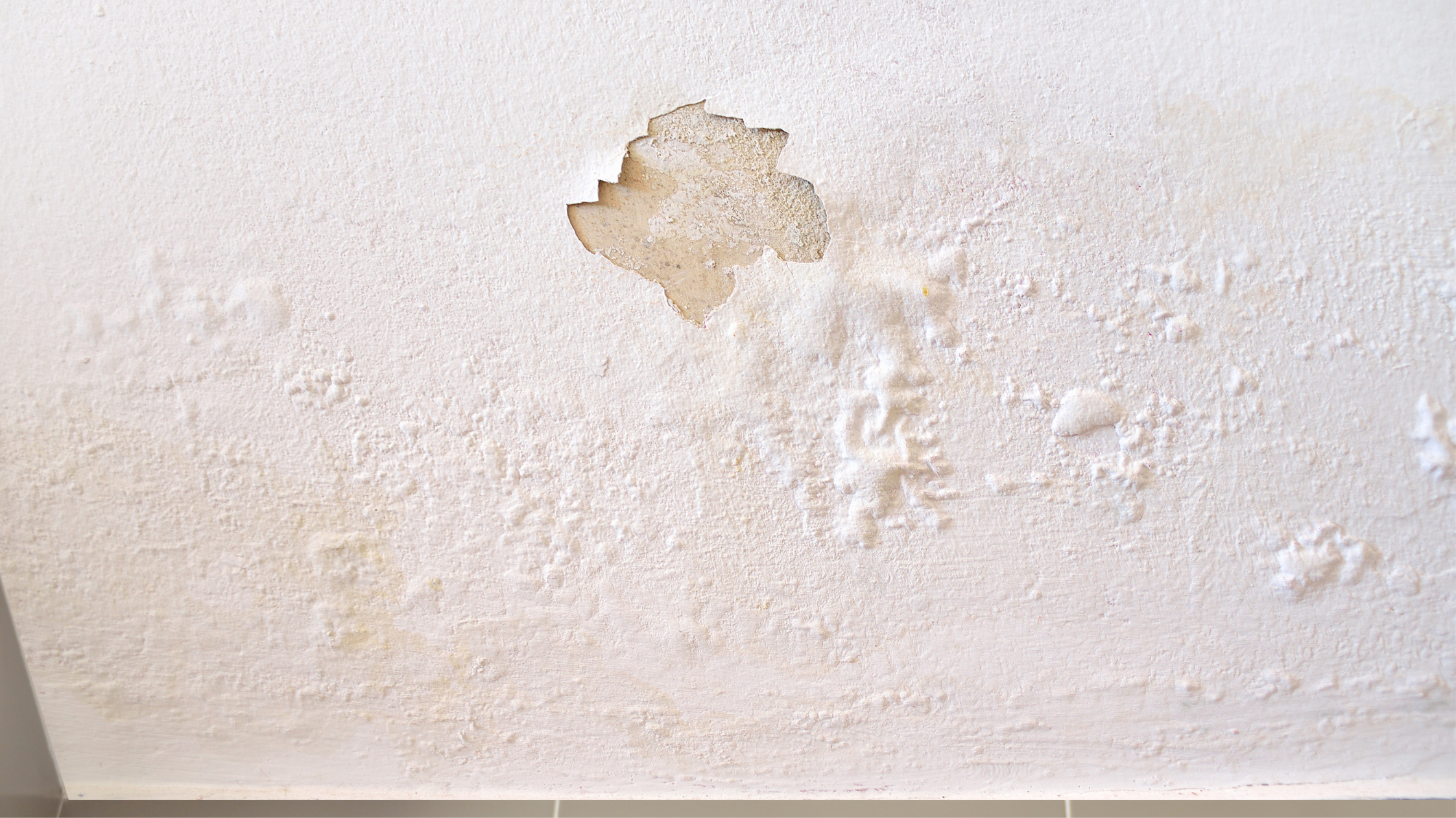 Water Stains on Walls or Ceilings