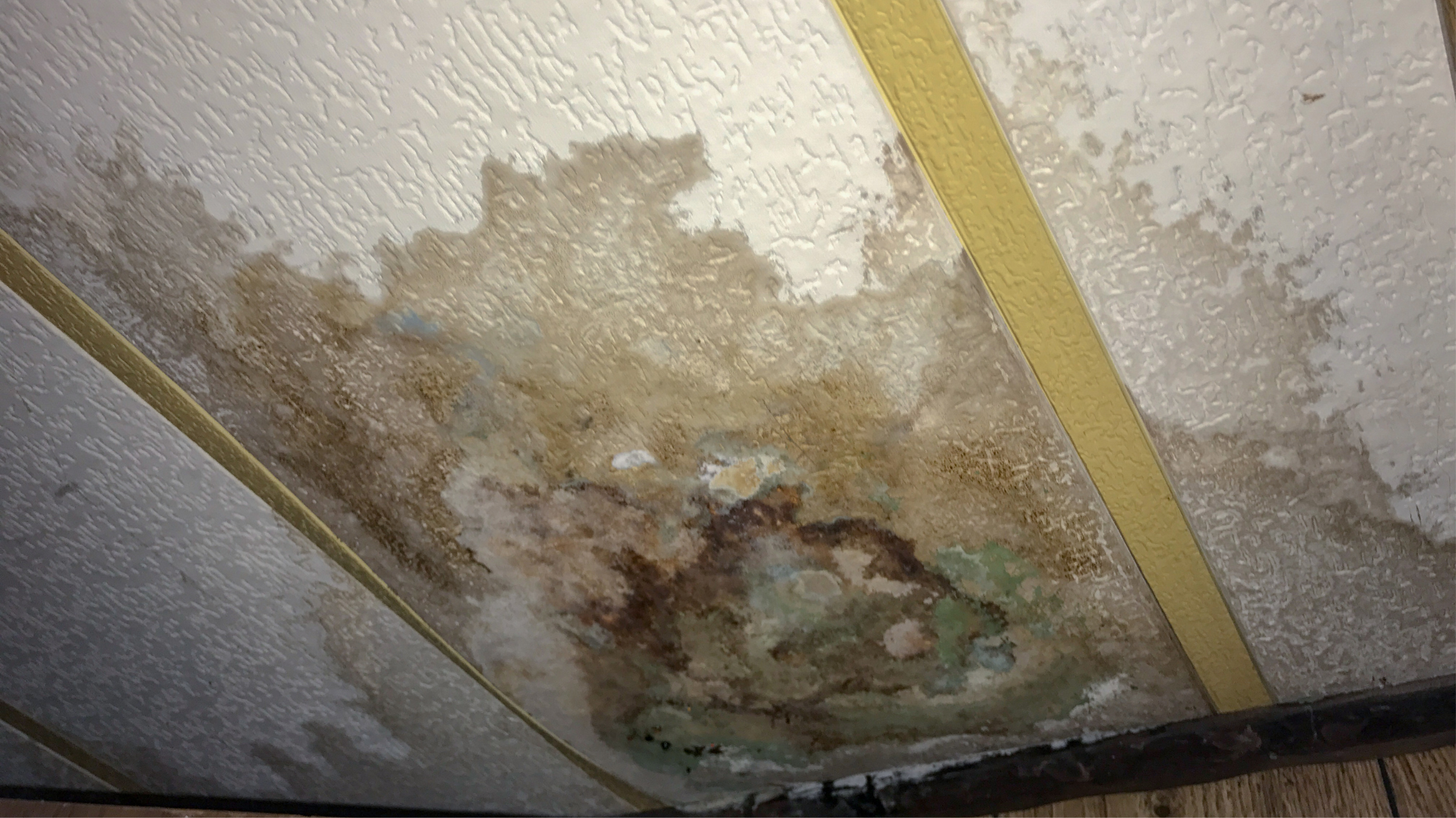 Water damaged molding ceiling 