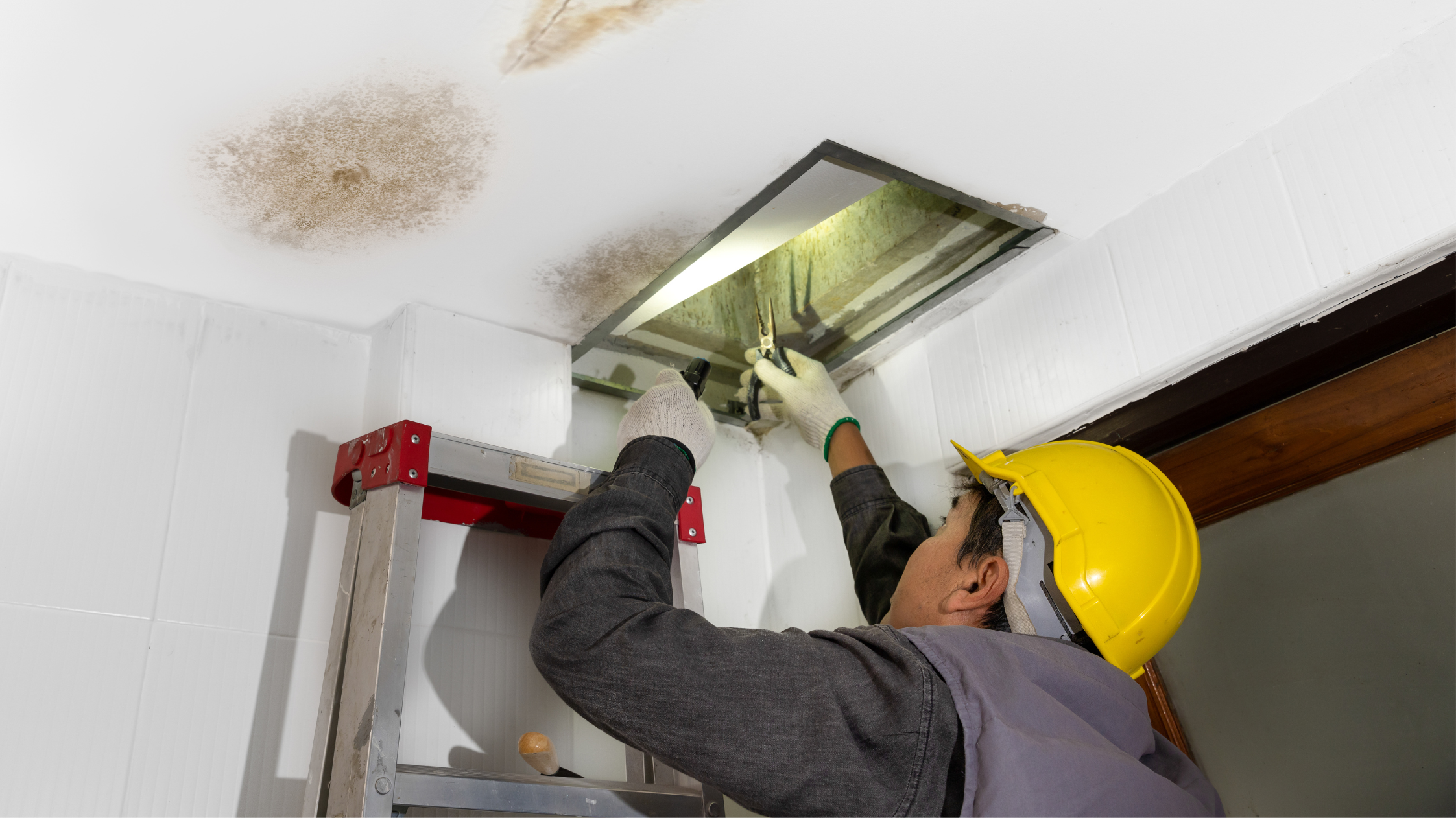 ceilings concealed pipe leaking